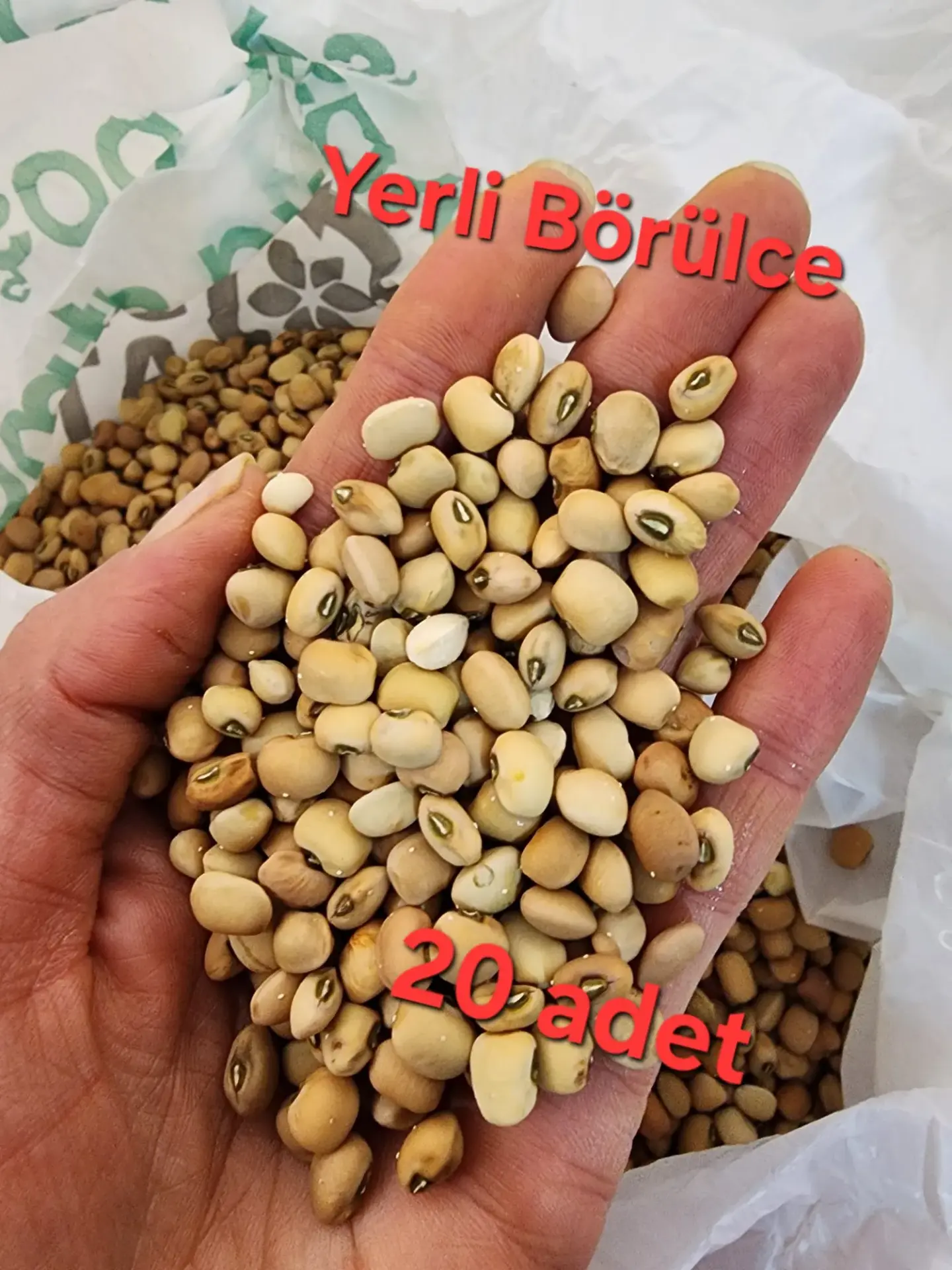 [YBTAY3A] Yerli Börülce Tohumu | Anadolu Yerlisi | 30 Adet